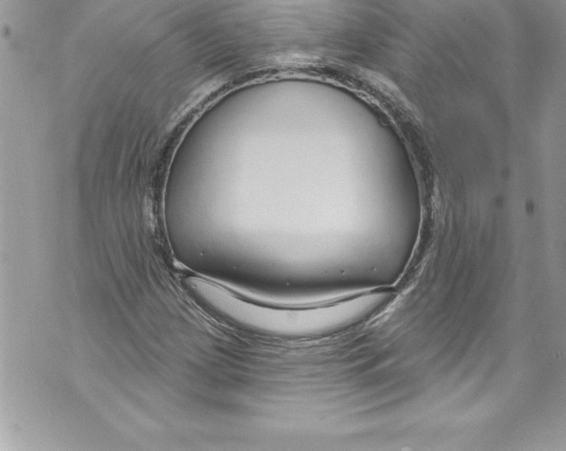 X0000070881209200607150138