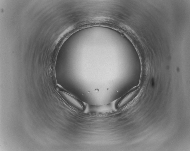 X0000070881210200607150138