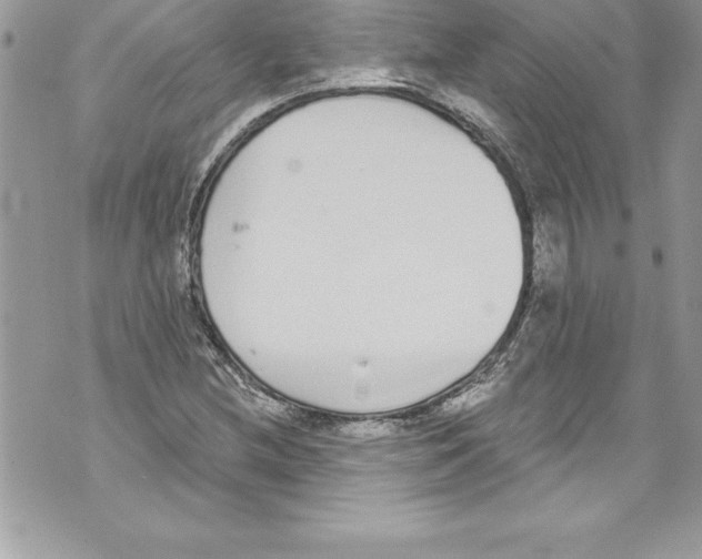 X0000070881212200607150138