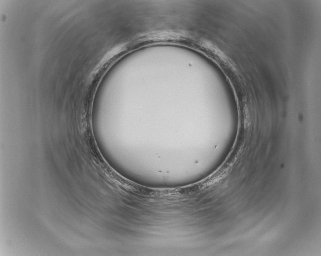 X0000070881213200607150138