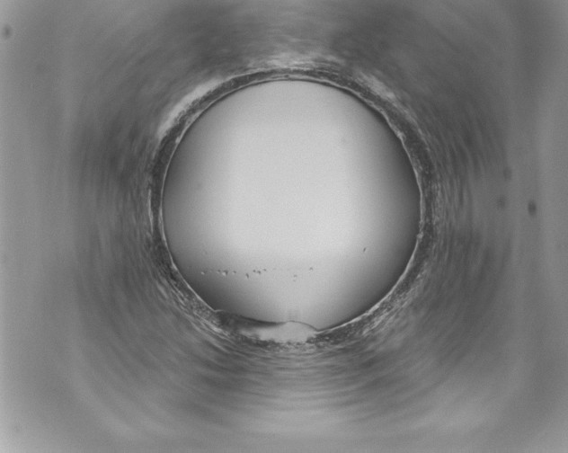 X0000070881214200607150138