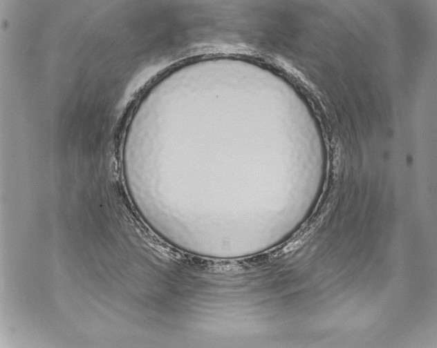 X0000070881215200607150138