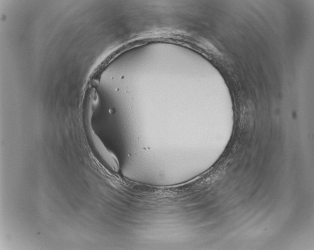 X0000070881216200607150138