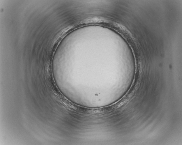 X0000070881217200607150138