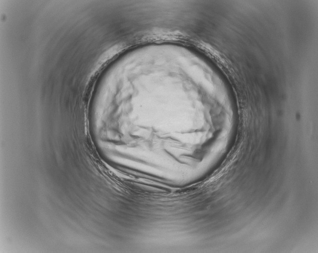 X0000070881219200607150138