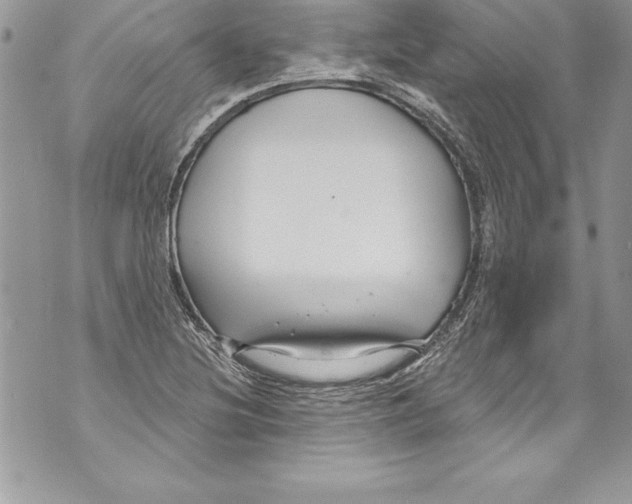 X0000070881220200607150138