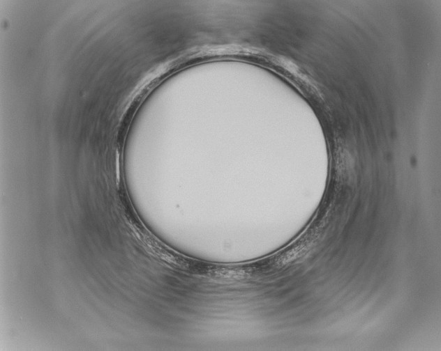 X0000070881221200607150138