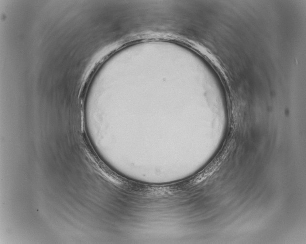 X0000070881223200607150138