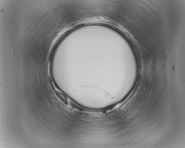 X0000070881224200607150138