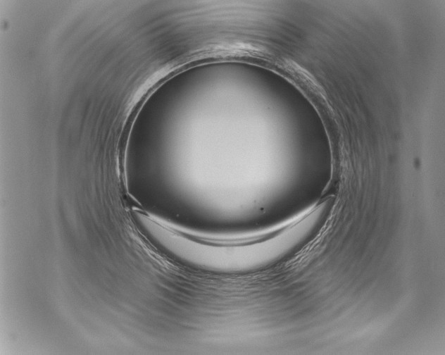 X0000070881226200607150138