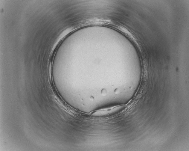 X0000070881227200607150138