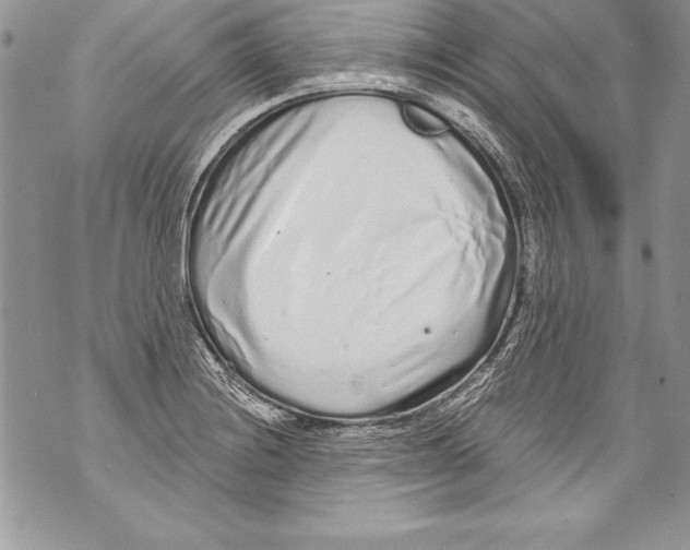 X0000070881228200607150138