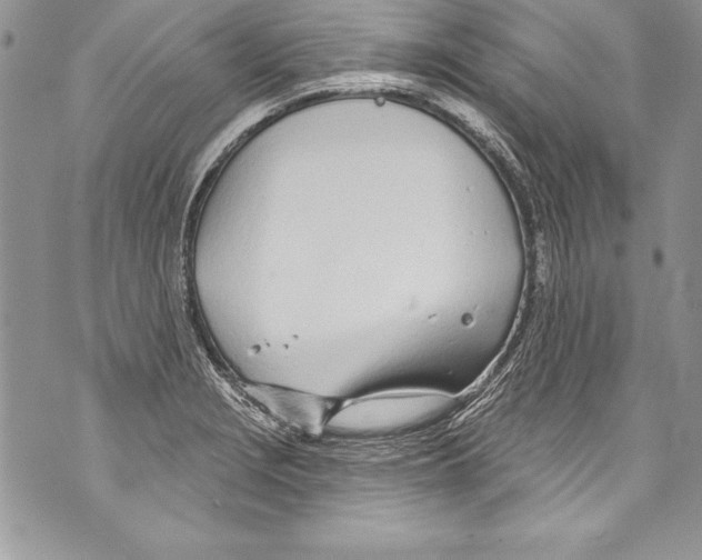 X0000070881229200607150138