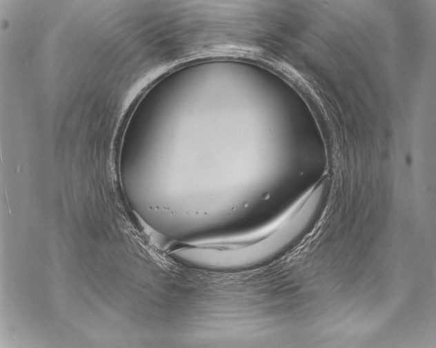 X0000070881230200607150138