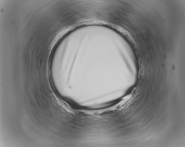 X0000070881231200607150138