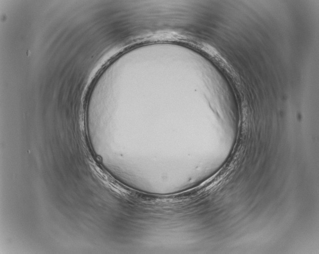 X0000070881232200607150138