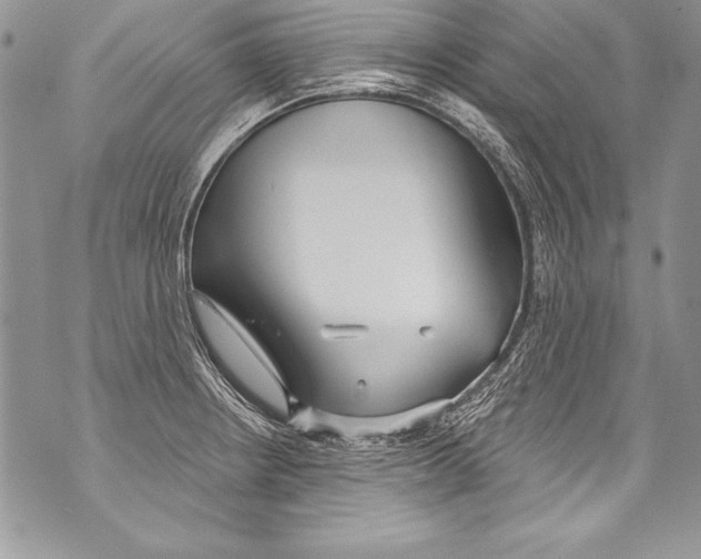 X0000070881234200607150138