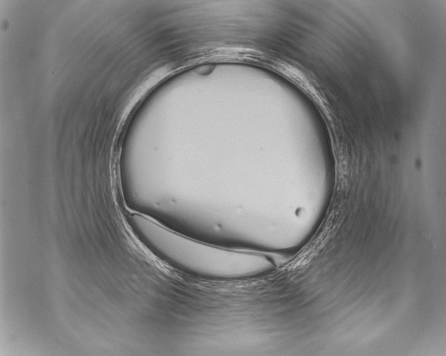 X0000070881235200607150138