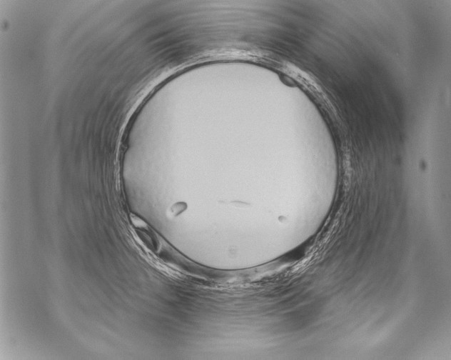 X0000070881236200607150138