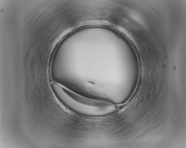 X0000070881237200607150138