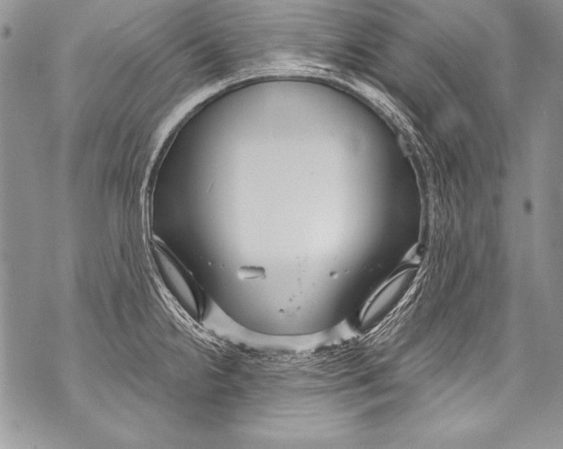 X0000070881238200607150138