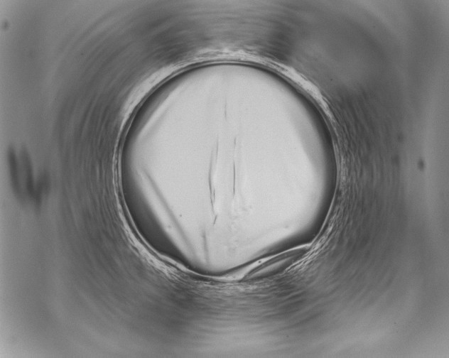 X0000070881239200607150138