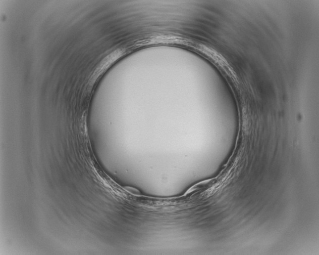 X0000070881241200607150138