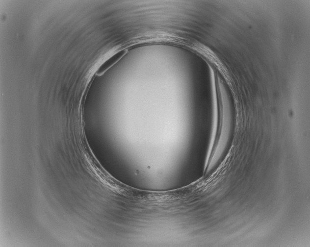 X0000070881242200607150138