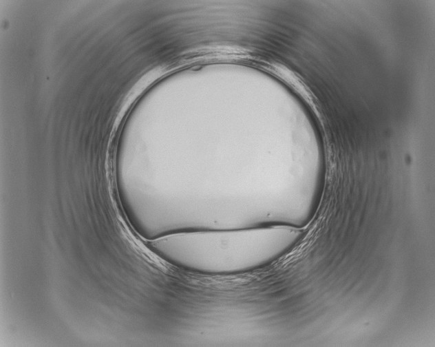 X0000070881243200607150138