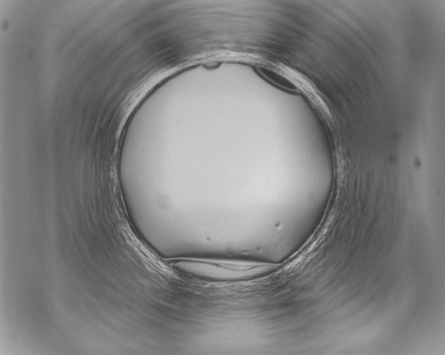 X0000070881244200607150138