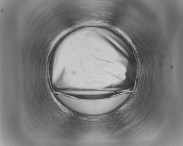 X0000070881245200607150138