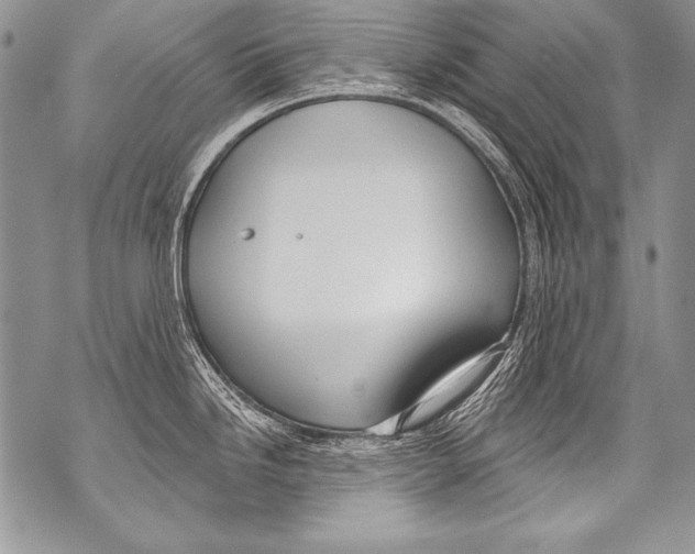 X0000070881246200607150138