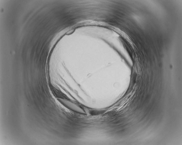 X0000070881247200607150138