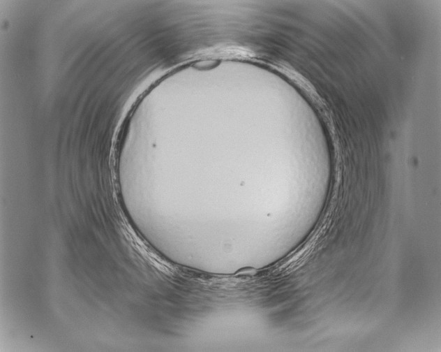 X0000070881248200607150138