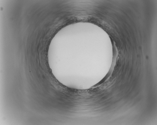 X0000070881249200607150138