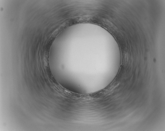 X0000070881250200607150137