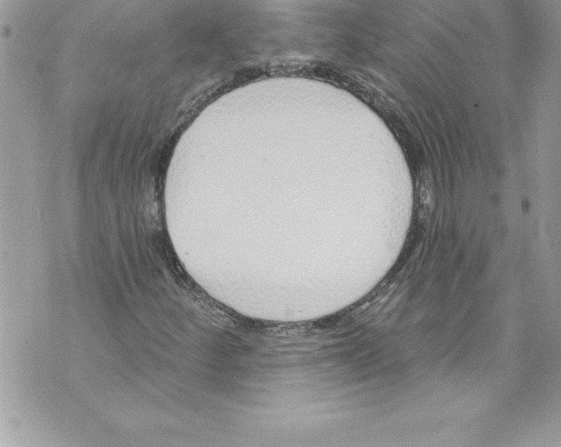 X0000070881252200607150137