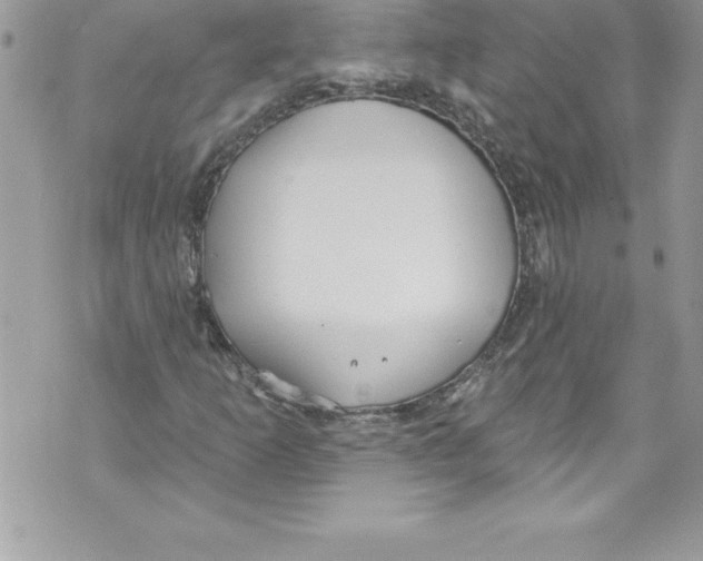 X0000070881253200607150137