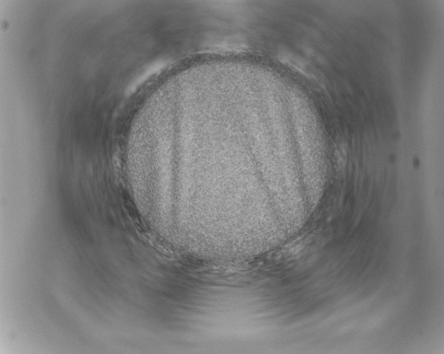 X0000070881254200607150137