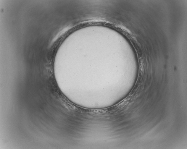 X0000070881255200607150137