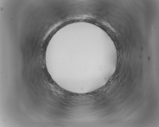 X0000070881256200607150137