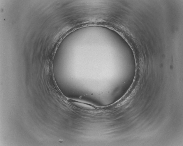 X0000070881257200607150137