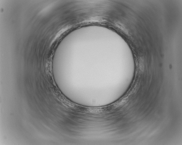 X0000070881258200607150137