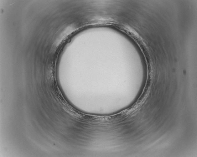 X0000070881259200607150137