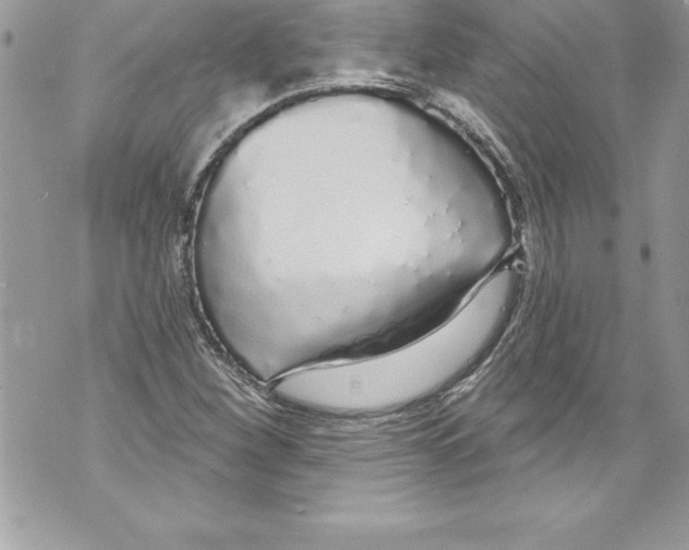 X0000070881260200607150137