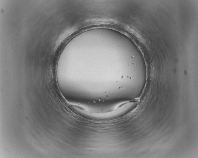 X0000070881261200607150137