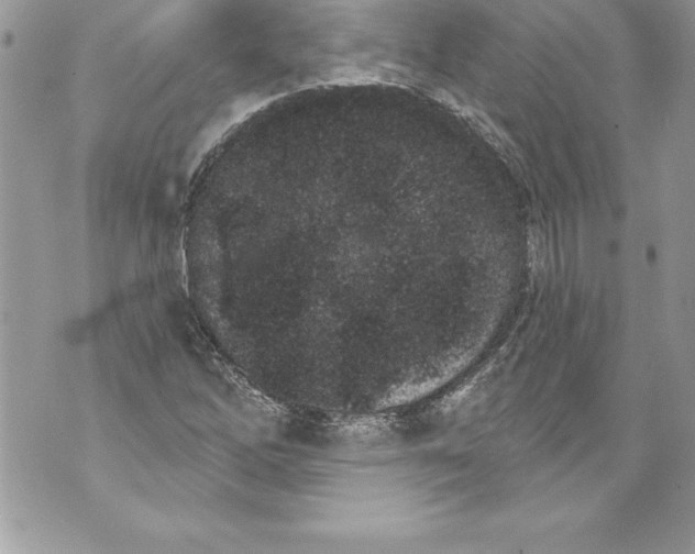 X0000070881262200607150137