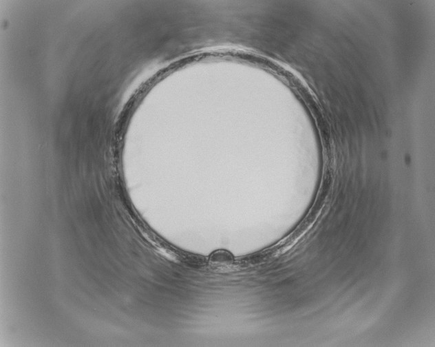 X0000070881263200607150137