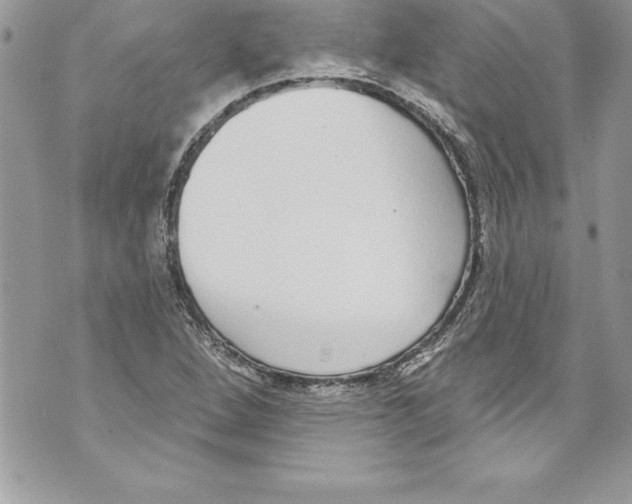 X0000070881264200607150137