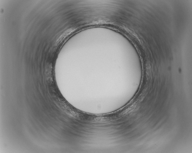 X0000070881265200607150137